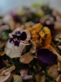 Miniature photo_avr_26_11