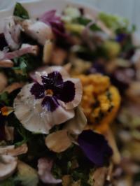 Miniature photo_avr_26_10