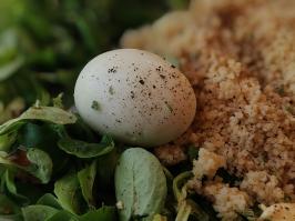 Miniature photo_juil_26_51