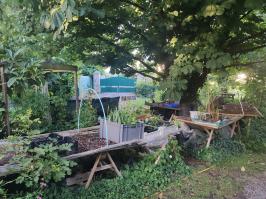 Miniature photo_juin_26_161