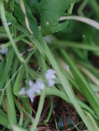 Miniature photo_juin_26_101