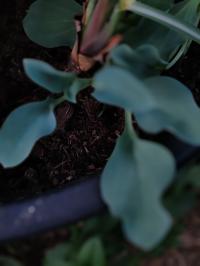 Miniature photo_juin_26_98