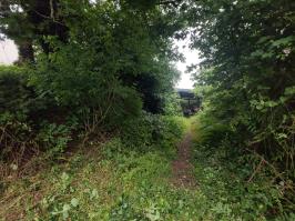 Miniature photo_juin_26_86
