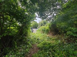 Miniature photo_juin_26_84