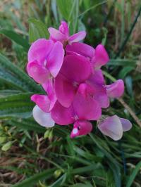 Miniature photo_juin_26_22