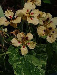 Miniature photo_juin_26_18