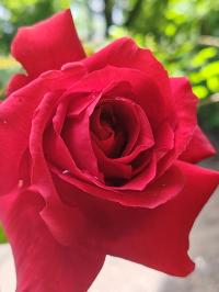 Miniature photo_mai_26_157