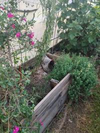 Miniature photo_mai_26_138