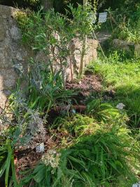 Miniature photo_mai_26_121