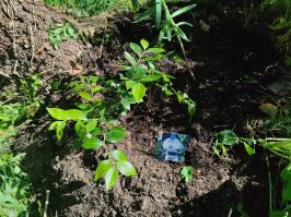 Miniature photo_mai_26_116