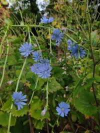 Miniature photo_mai_26_71