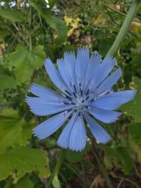 Miniature photo_mai_26_70