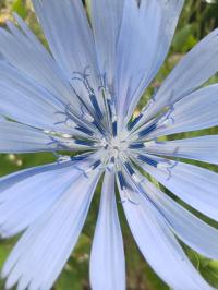Miniature photo_mai_26_67