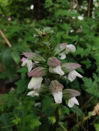 Miniature photo_mai_26_51
