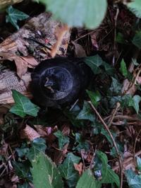 Miniature photo_mai_26_30