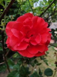 Miniature photo_mai_26_27