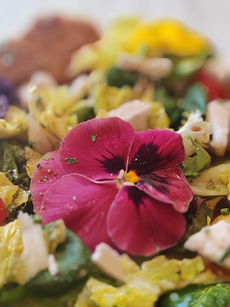 Photo photo_avr_26_32