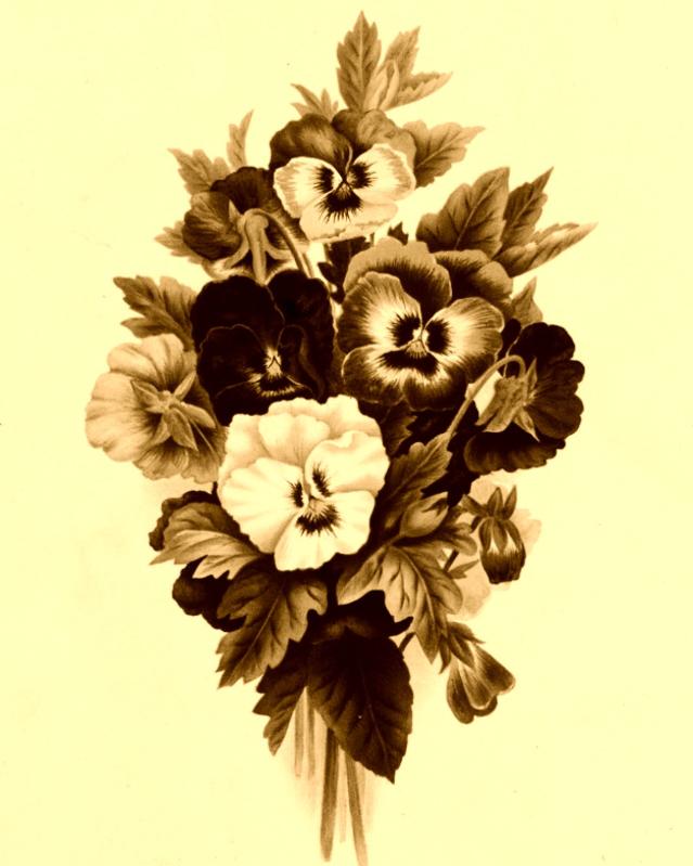 Photo pho68
