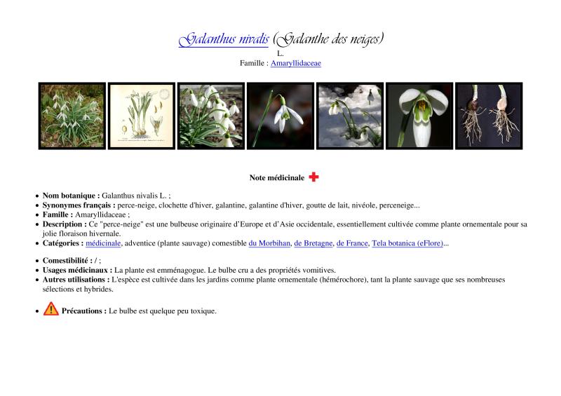 Photo pho7