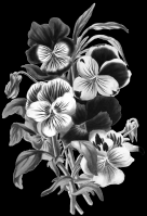 Miniature pho60