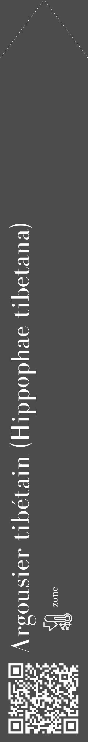 Étiquette de : Hippophae tibetana - format c - style blanche27_simple_simplebod avec qrcode et comestibilité - position verticale
