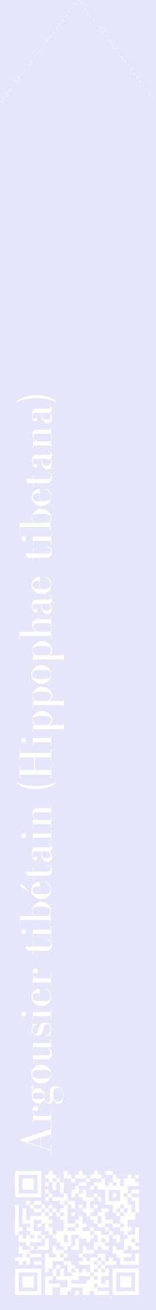 Étiquette de : Hippophae tibetana - format c - style blanche55_simplebod avec qrcode et comestibilité