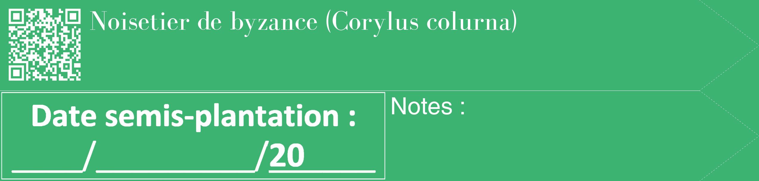 Étiquette de : Corylus colurna - format c - style blanche12_simple_simplebod avec qrcode et comestibilité
