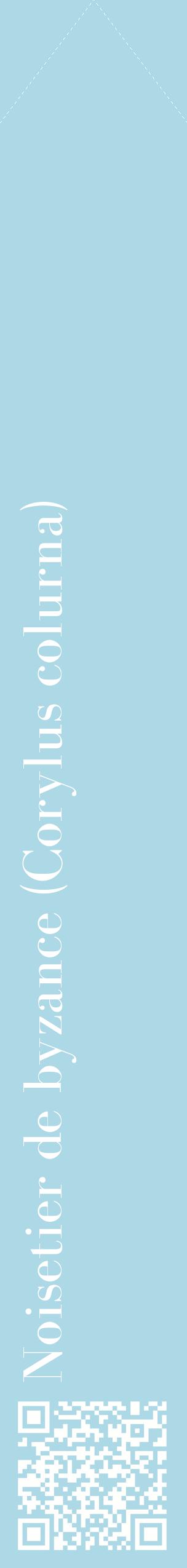 Étiquette de : Corylus colurna - format c - style blanche0_simplebod avec qrcode et comestibilité