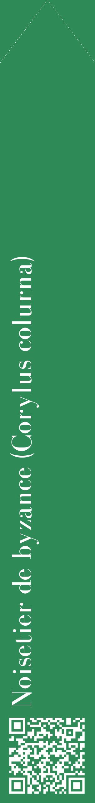 Étiquette de : Corylus colurna - format c - style blanche11_simplebod avec qrcode et comestibilité