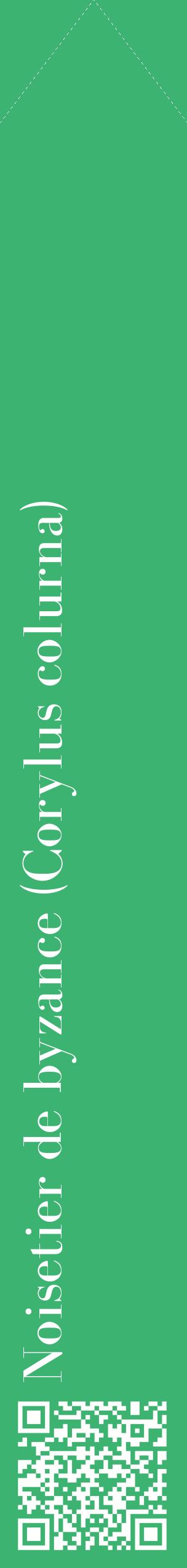 Étiquette de : Corylus colurna - format c - style blanche12_simplebod avec qrcode et comestibilité