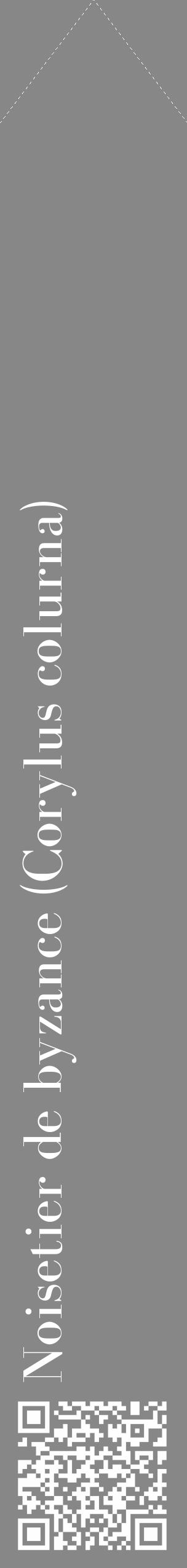 Étiquette de : Corylus colurna - format c - style blanche12_simple_simplebod avec qrcode et comestibilité - position verticale
