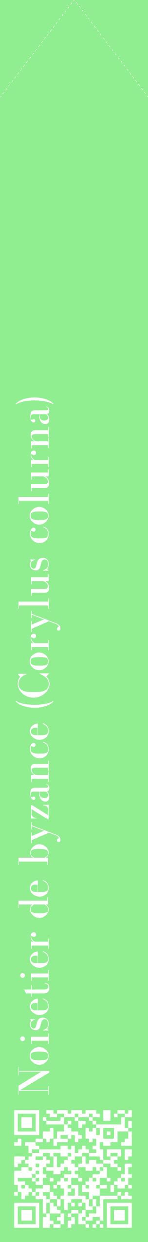 Étiquette de : Corylus colurna - format c - style blanche15_simplebod avec qrcode et comestibilité