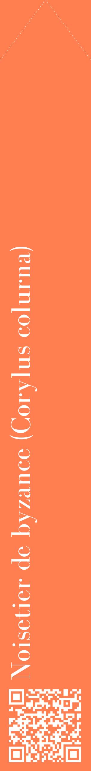 Étiquette de : Corylus colurna - format c - style blanche24_simplebod avec qrcode et comestibilité