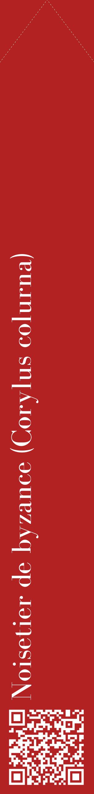 Étiquette de : Corylus colurna - format c - style blanche28_simplebod avec qrcode et comestibilité
