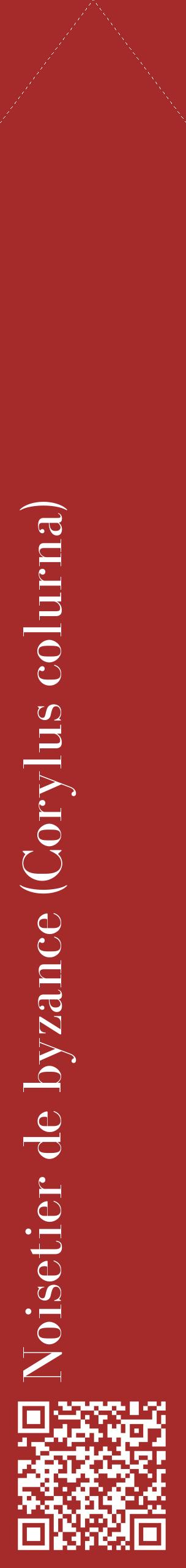 Étiquette de : Corylus colurna - format c - style blanche33_simplebod avec qrcode et comestibilité