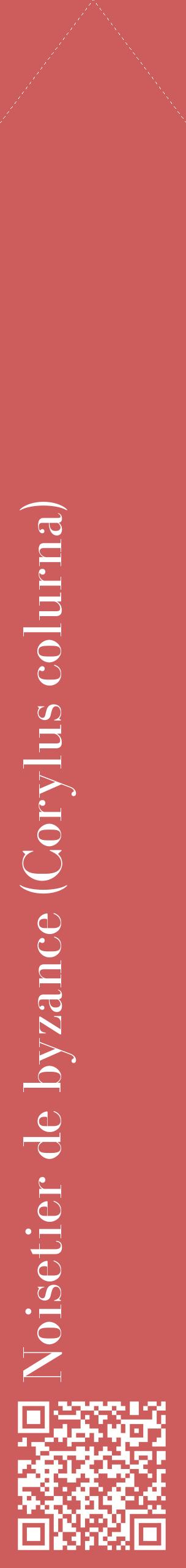 Étiquette de : Corylus colurna - format c - style blanche35_simplebod avec qrcode et comestibilité