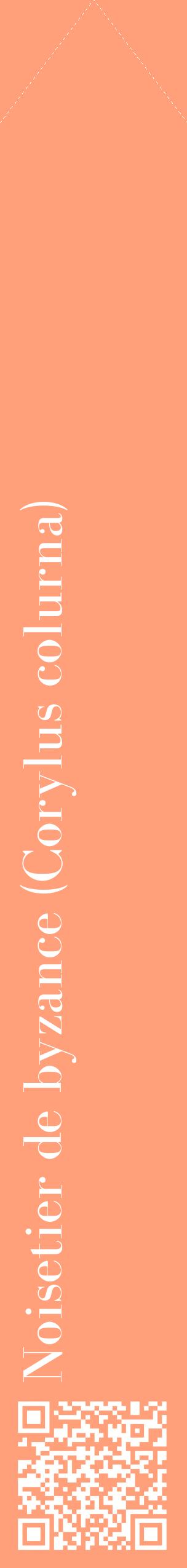 Étiquette de : Corylus colurna - format c - style blanche39_simplebod avec qrcode et comestibilité
