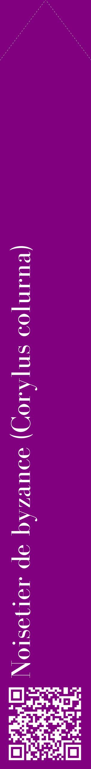 Étiquette de : Corylus colurna - format c - style blanche46_simplebod avec qrcode et comestibilité