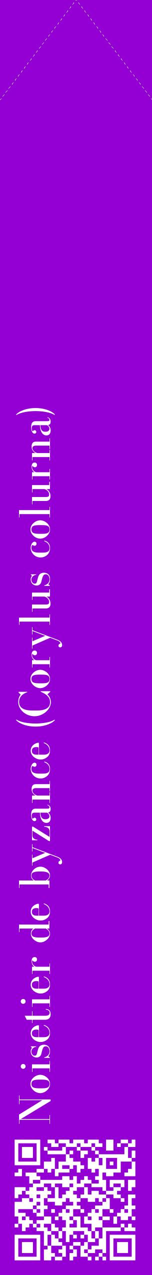 Étiquette de : Corylus colurna - format c - style blanche48_simplebod avec qrcode et comestibilité