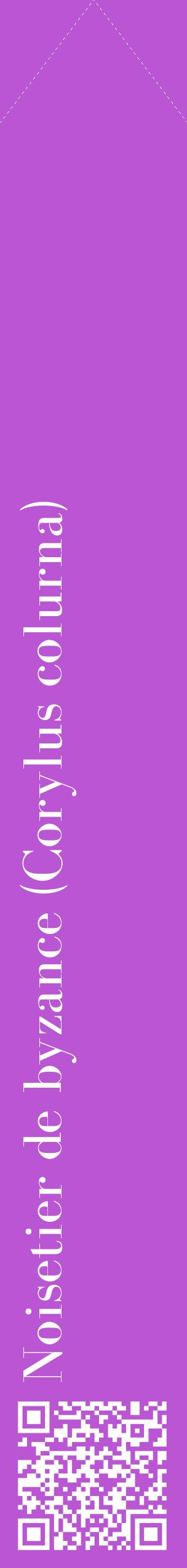 Étiquette de : Corylus colurna - format c - style blanche50_simplebod avec qrcode et comestibilité