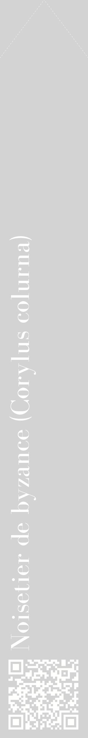 Étiquette de : Corylus colurna - format c - style blanche56_simplebod avec qrcode et comestibilité