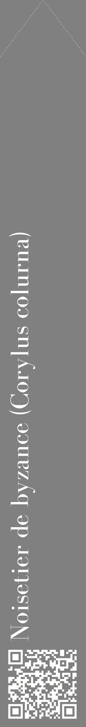 Étiquette de : Corylus colurna - format c - style blanche57_simplebod avec qrcode et comestibilité
