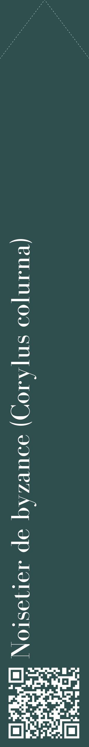Étiquette de : Corylus colurna - format c - style blanche58_simplebod avec qrcode et comestibilité