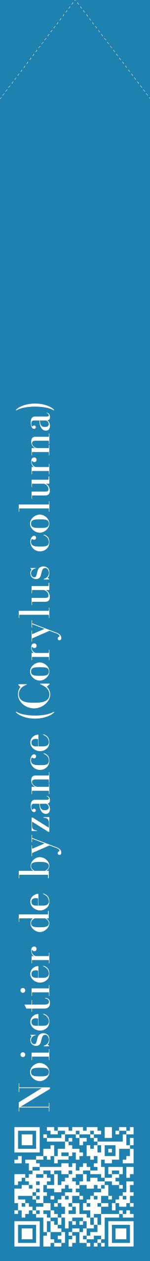 Étiquette de : Corylus colurna - format c - style blanche6_simplebod avec qrcode et comestibilité