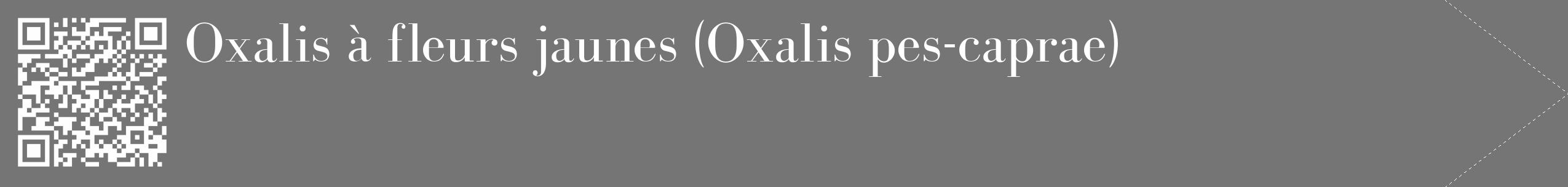 Étiquette de : Oxalis pes-caprae - format c - style blanche5_simple_simplebod avec qrcode et comestibilité