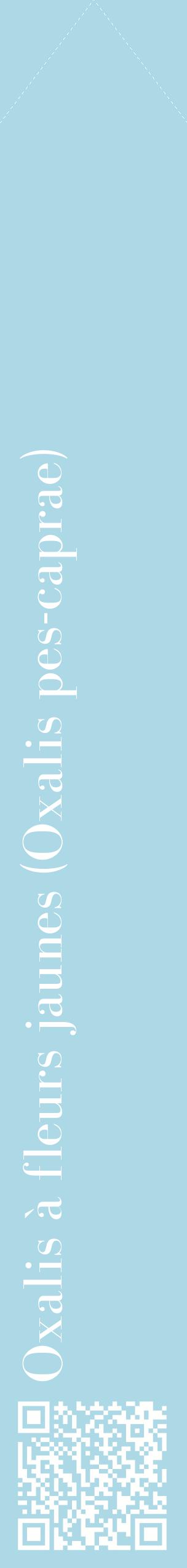 Étiquette de : Oxalis pes-caprae - format c - style blanche0_simplebod avec qrcode et comestibilité
