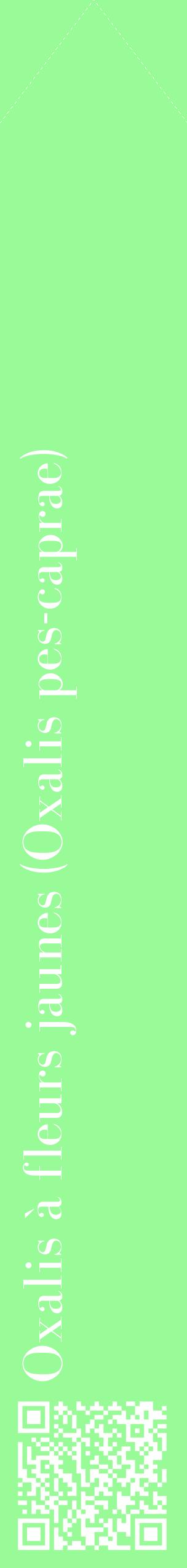 Étiquette de : Oxalis pes-caprae - format c - style blanche14_simplebod avec qrcode et comestibilité