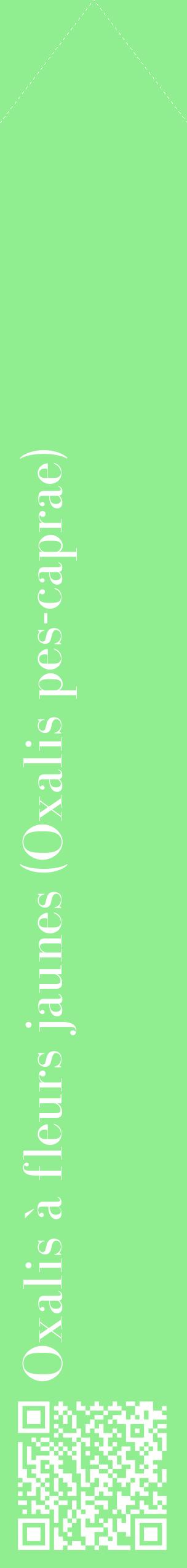 Étiquette de : Oxalis pes-caprae - format c - style blanche15_simplebod avec qrcode et comestibilité