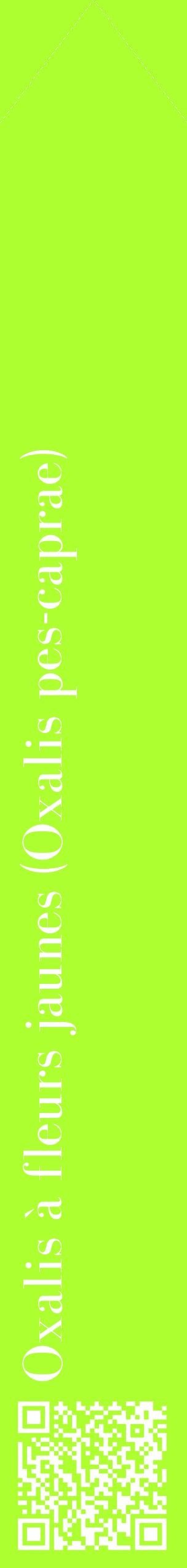 Étiquette de : Oxalis pes-caprae - format c - style blanche17_simplebod avec qrcode et comestibilité