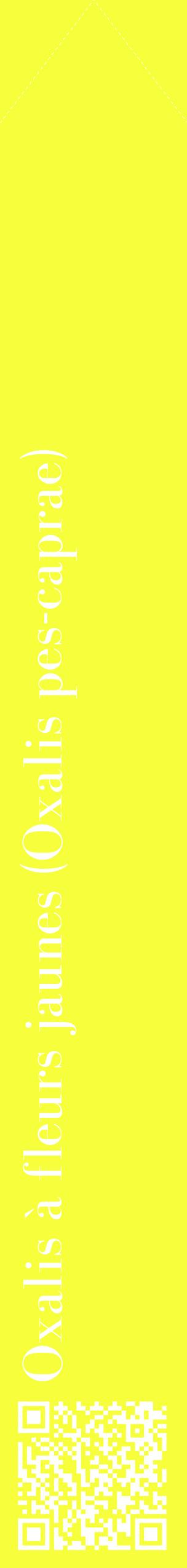 Étiquette de : Oxalis pes-caprae - format c - style blanche18_simplebod avec qrcode et comestibilité